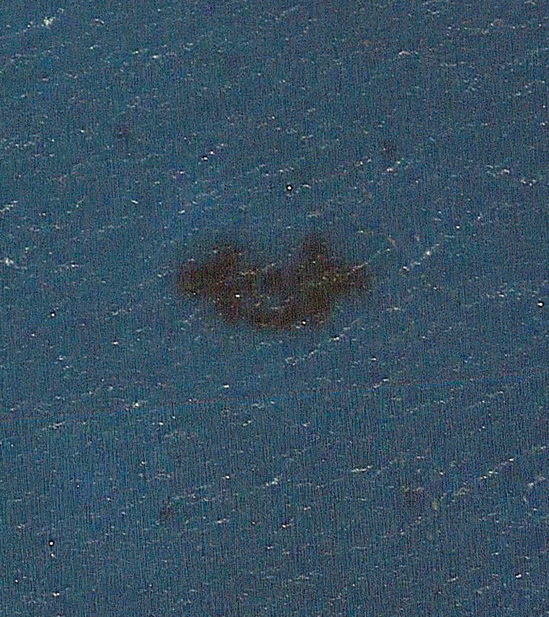 Neptune Memorial Reef from space. Satellite image provided by Google Earth.